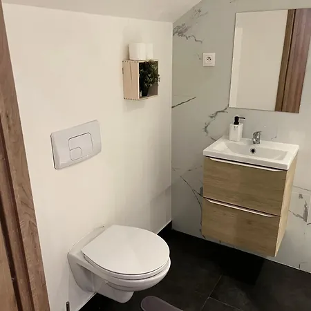 Familial Apartment Roubaix